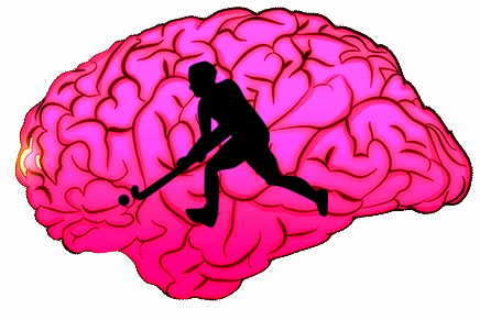 hockey on the brain